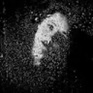 Meet your Posher, Alisha